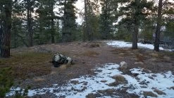 Gregory UM21 Backpack -Outdoor Camping 20161127 162932